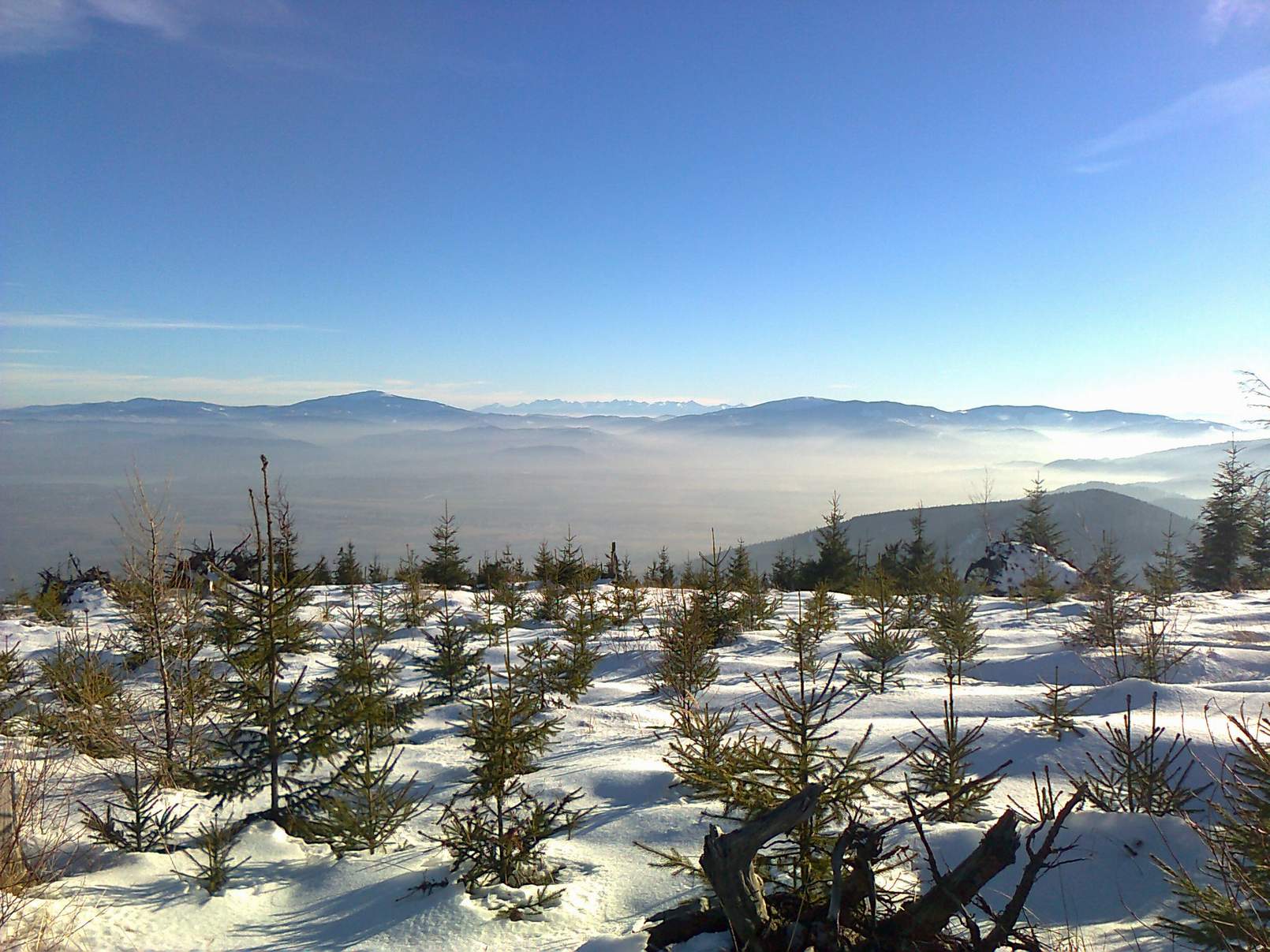 widok_na_Tatry1.JPG