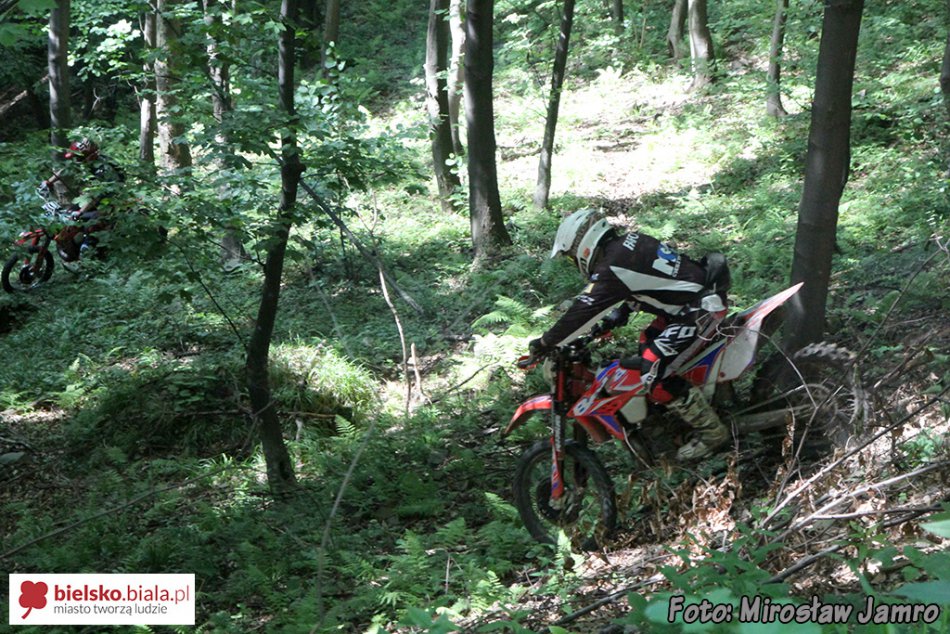 Motocykliści rozjeżdżają las - foto