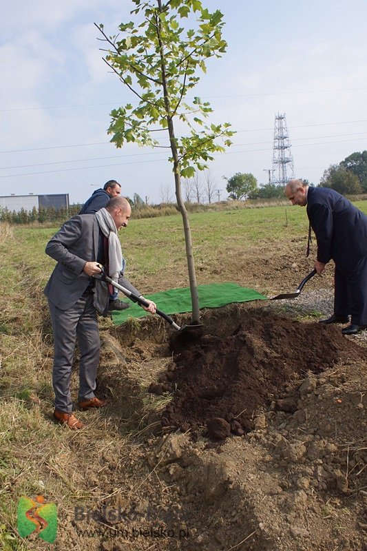 SITA zaczęła kopać przy Krakowskiej