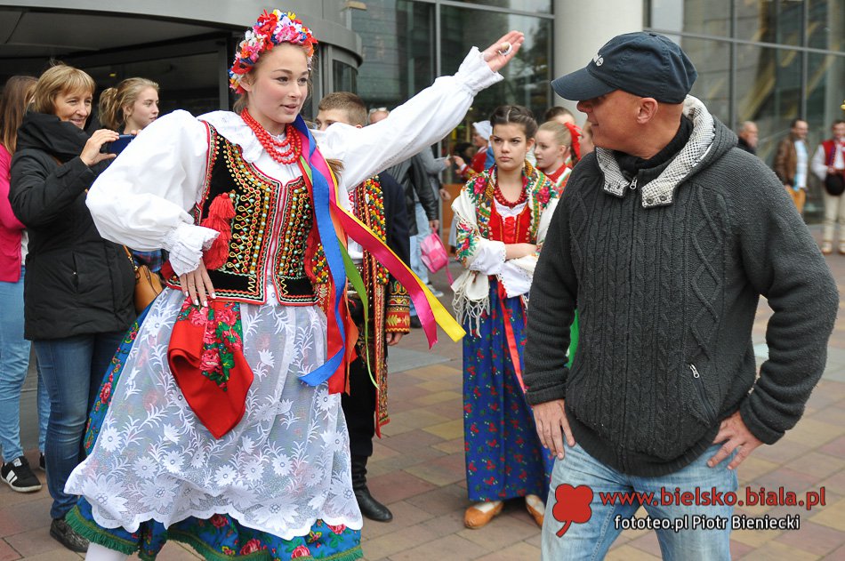 Wycinali na ulicy