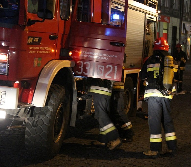Strażacy odnaleźli martwe psy i kota