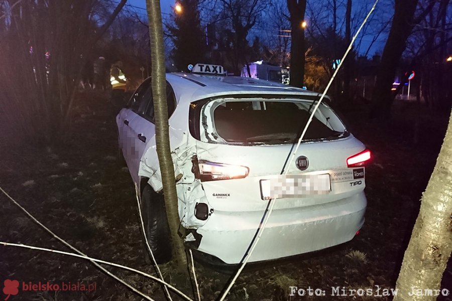 Wpadła taksówka do ogrodu - foto