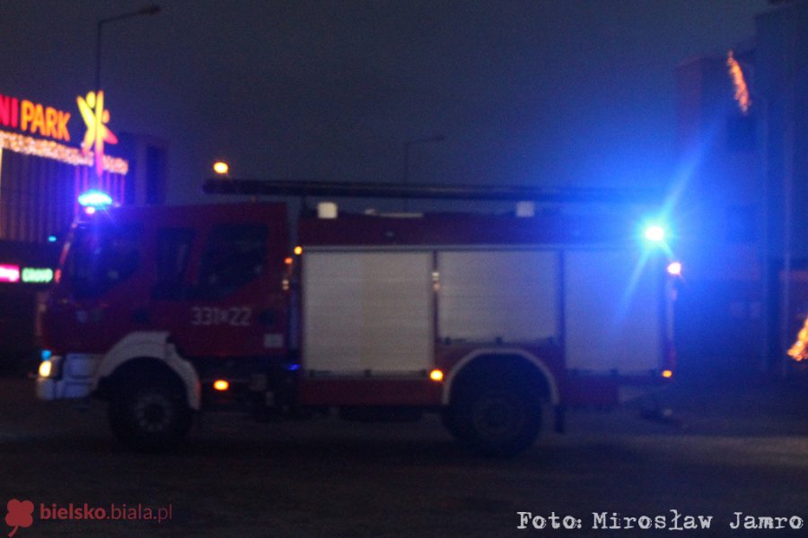 W prezencie otrzymał drugie życie - foto