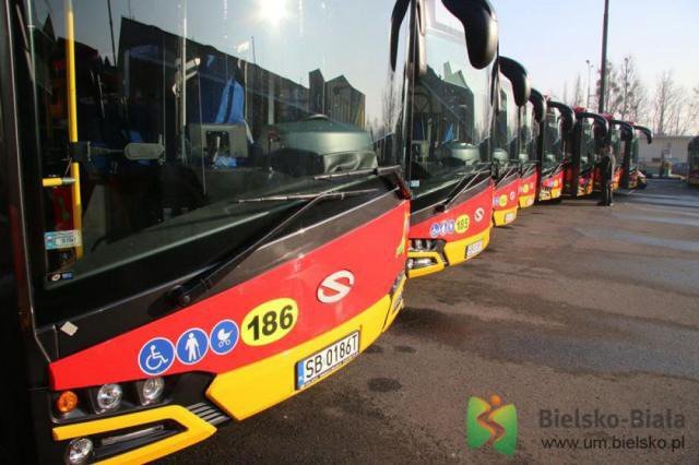 Autobusem na sylwestra? To możliwe, ale...
