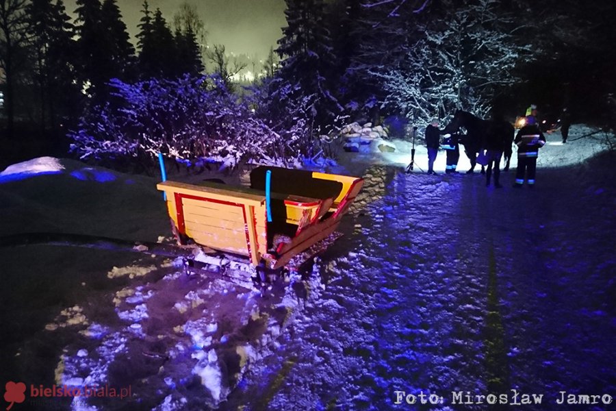 Samochód wjechał w kulig. Dziecko w szpitalu - foto