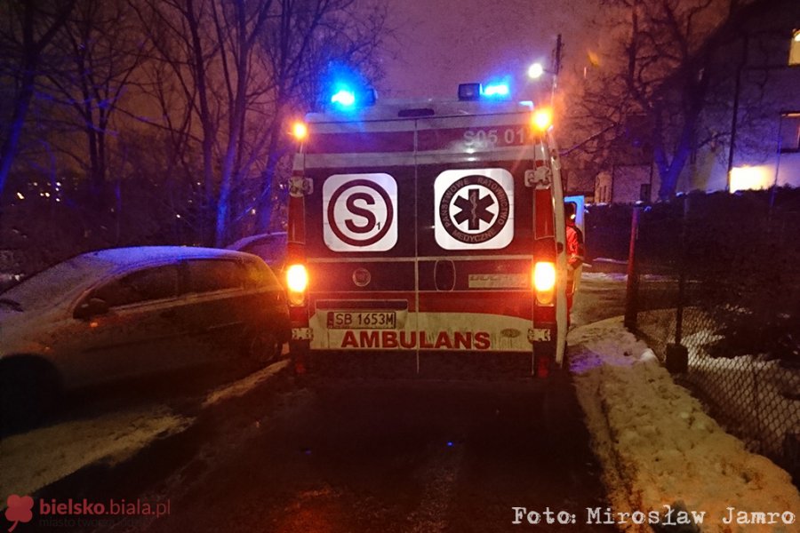 Zwłoki mężczyzny w lasku przy Staffa - foto