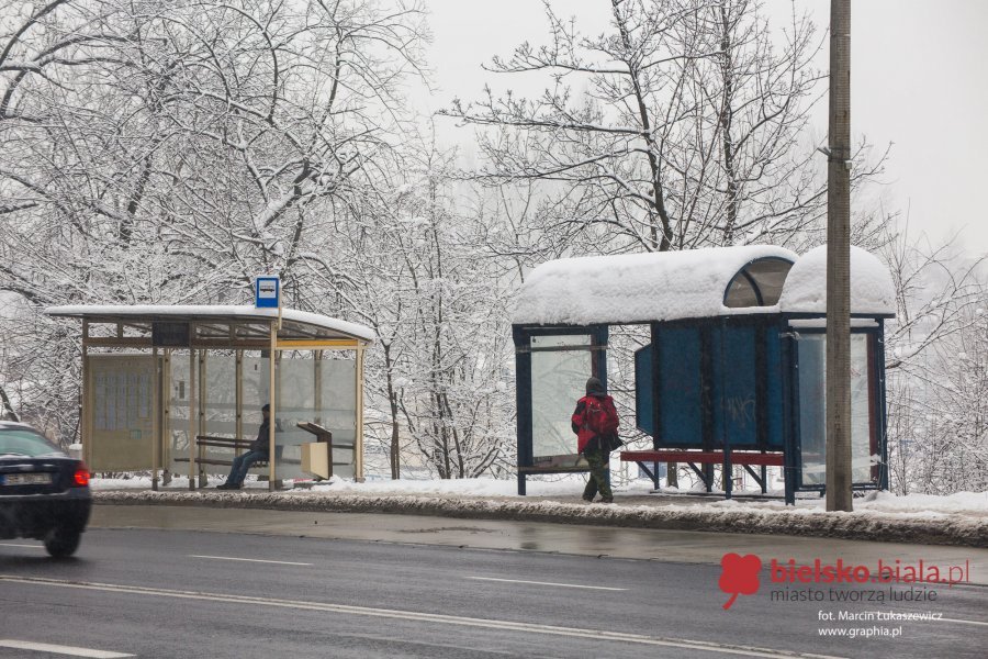 Fortuna za modernizację dziewięciu przystanków