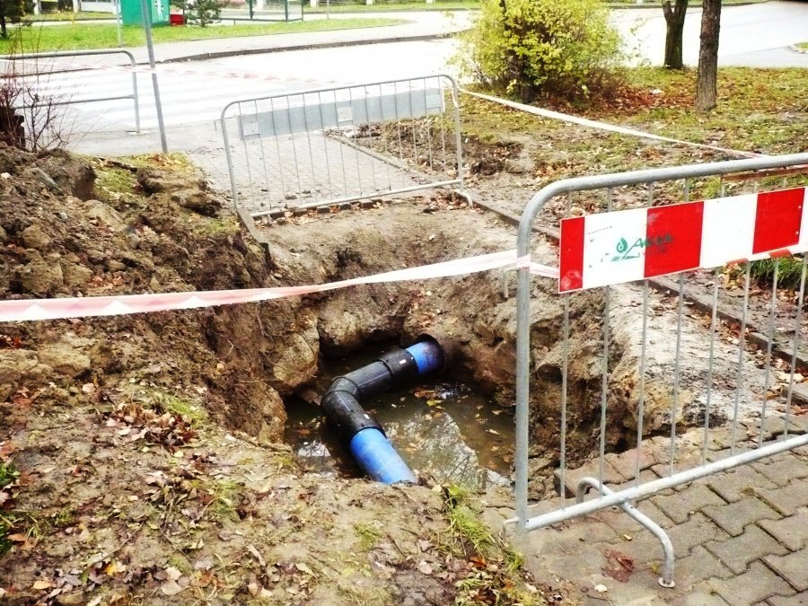 Milionowe zyski miejskich spółek zasilają kasę miasta