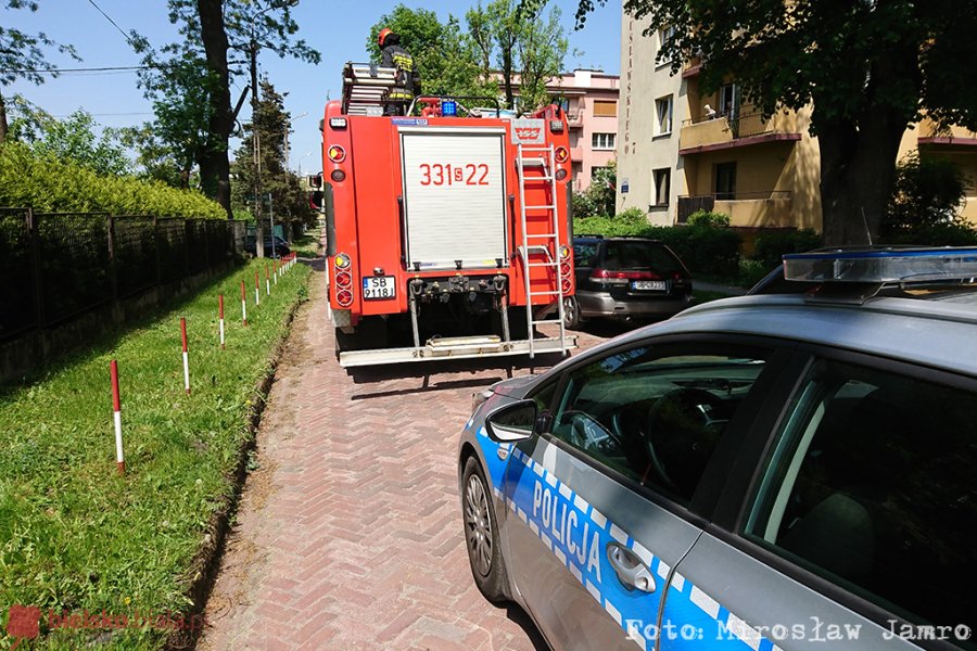 Przez kilka godzin siedział na balkonie. Sąsiedzi uratowali mu życie - foto