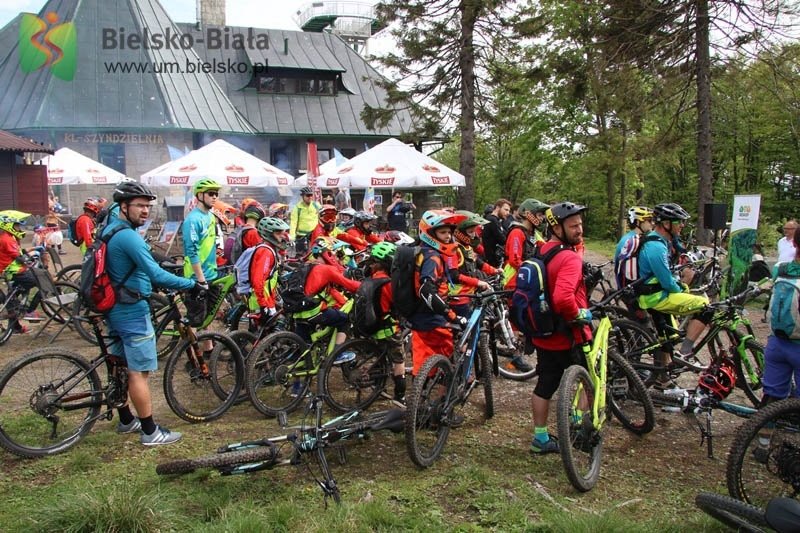 Liczne bandy i muldy na nowej trasie rowerowej - foto