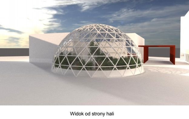 Spacer wśród motyli. Nowa atrakcja powstaje w Jaworzu