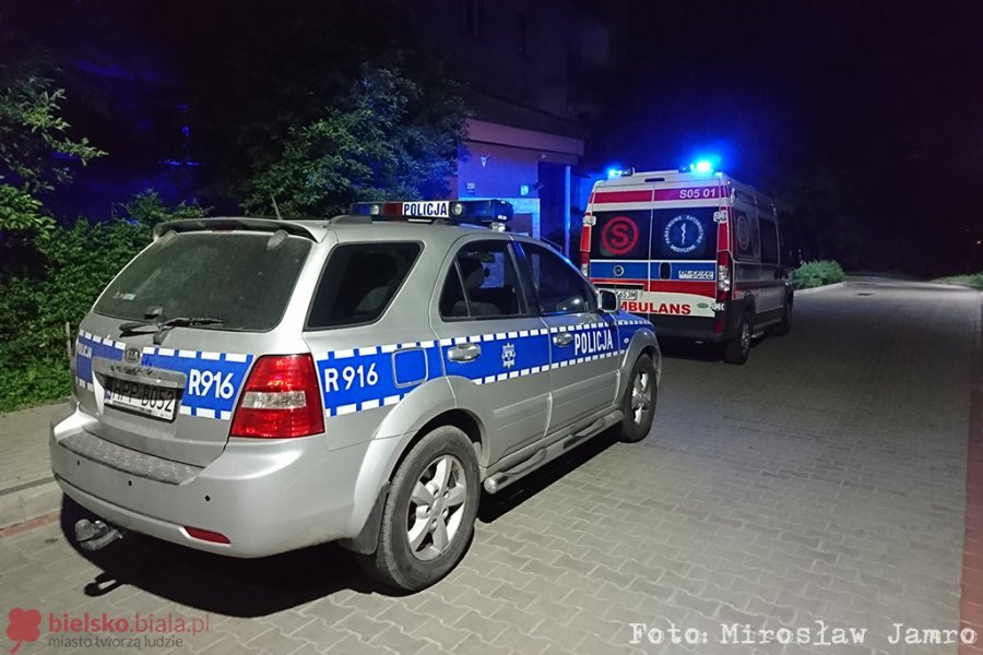 Pogryzła i opluła ratownika medycznego. Wydmuchała promil alkoholu