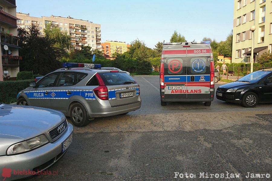 Policjanci zatrzymali poszukiwanego. Stawiał czynny opór - foto
