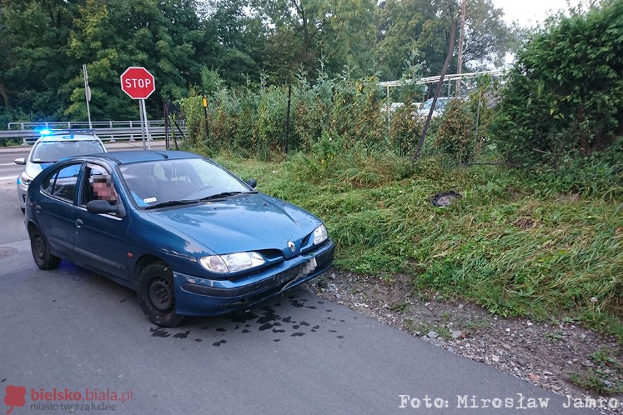 Pijana uciekła z miejsca kolizji. Później uderzyła w płot - foto