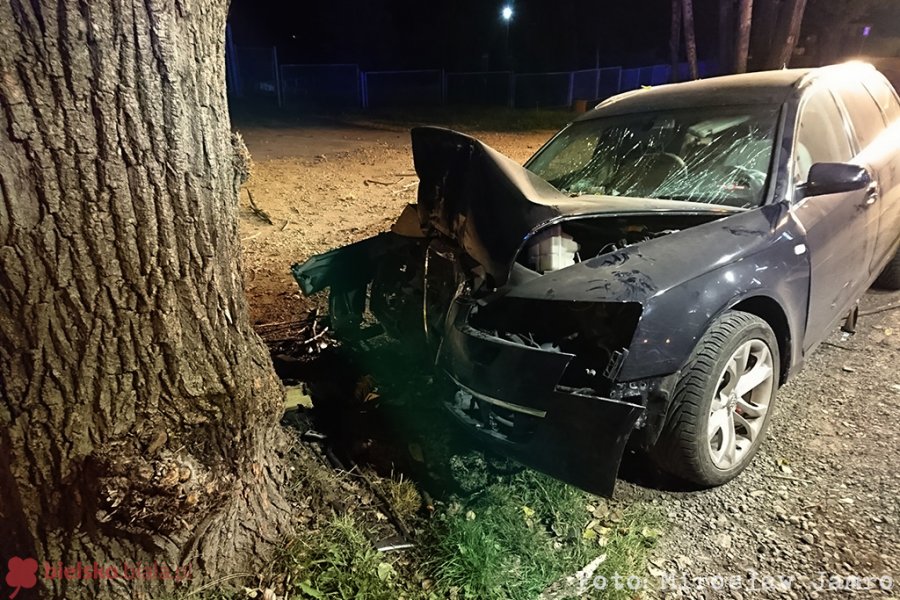 Pijany z impetem trafił w drzewo. Przednią szybę przebiła... butelka - foto