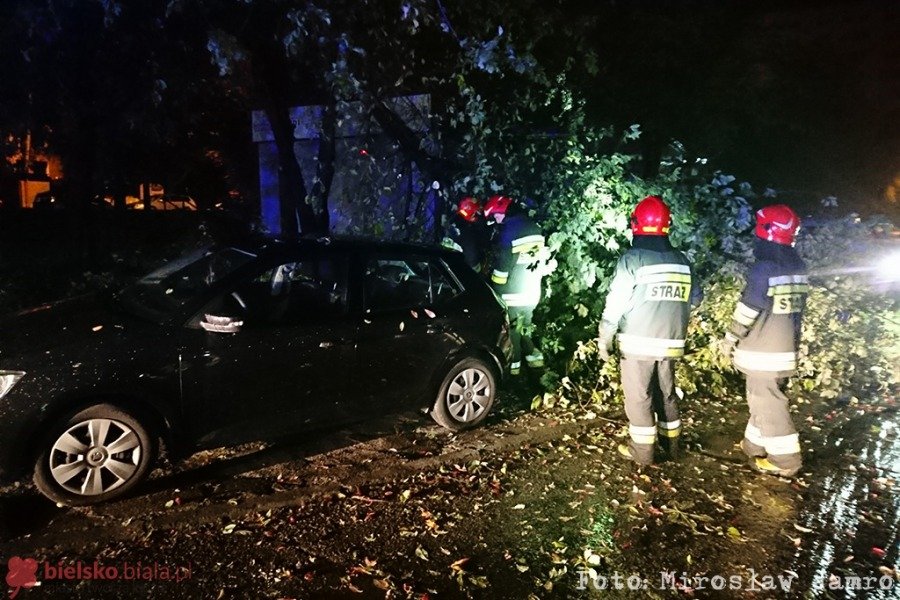 Silny wiatr łamał drzewa i konary. Uszkodzonych kilka aut - foto