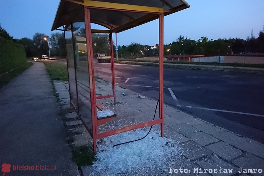 Martwy szczur na chodniku. Na co skarżą się bielszczanie?