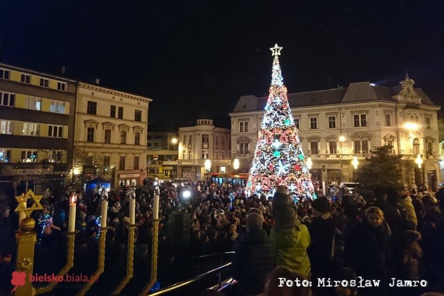Rozbłysła największa choinka. Prezydent Klimaszewski odpalił iluminacje! - foto