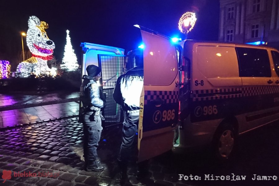 Pijany wspinał się na Reksia. Interweniował patrol Straży Miejskiej - foto