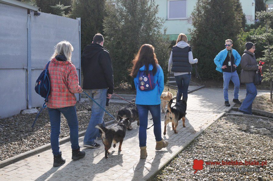 Dość konfliktów w „Reksiu”. „Wolontariusze nie są bandą oszołomów”