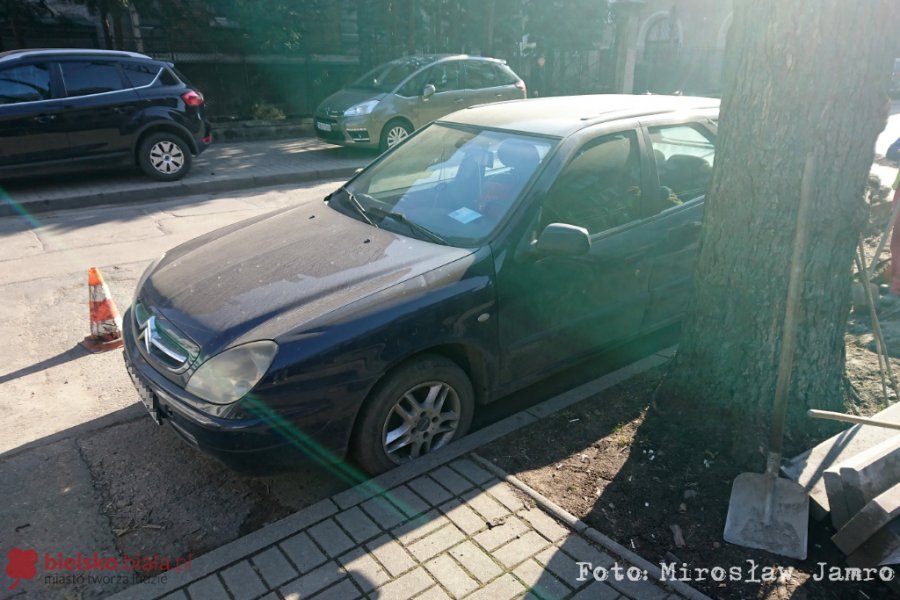 Wykroczenie z kartą inwalidy. Interweniowała Straż Miejska - foto
