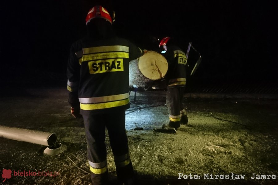 Silny wiatr wyrywa drzewa. Służby mają wiele pracy - foto