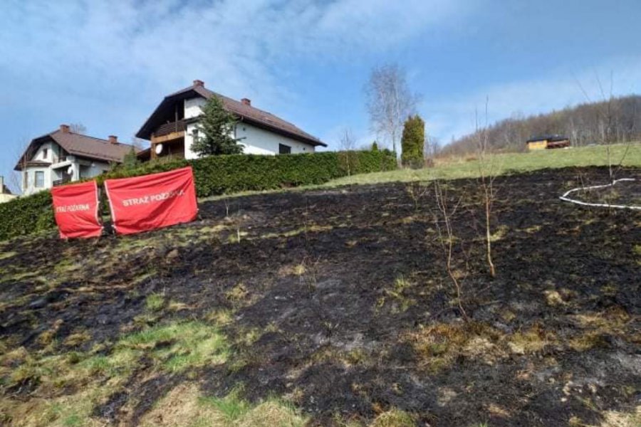 Śmiertelna ofiara pożaru trawy w Międzybrodziu Bialskim - foto