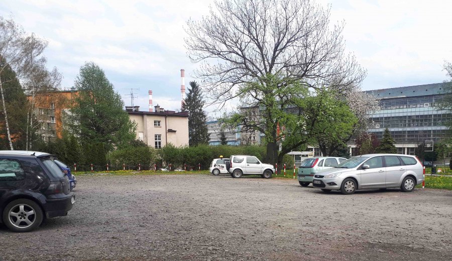 Zlikwidują parking w centrum miasta. W tym miejscu będzie... łąka