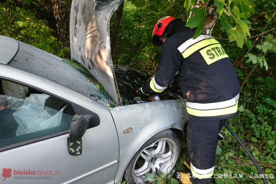 Z impetem uderzył w drzewo. Samochód stanął w płomieniach