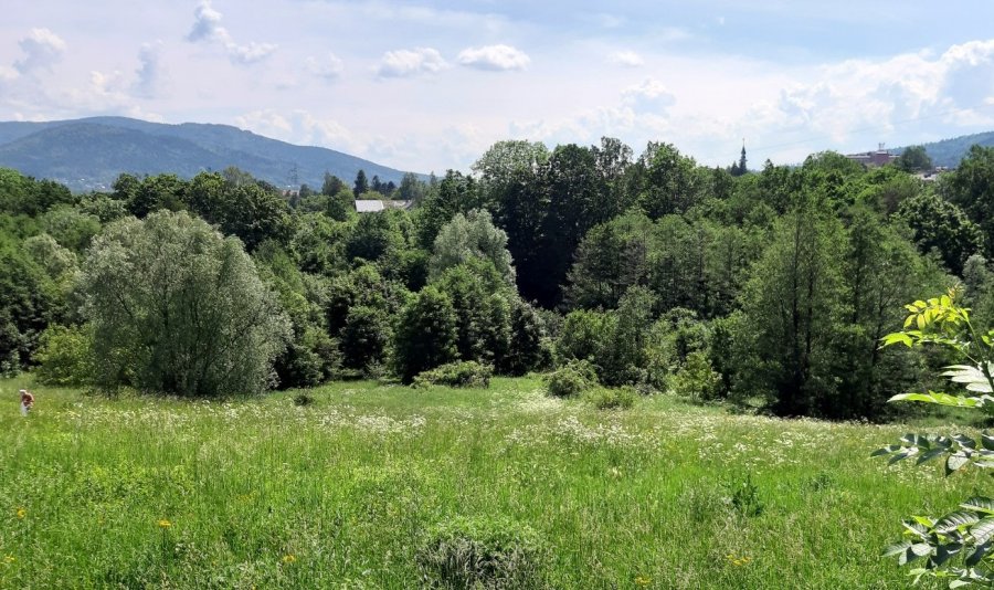 Kolejny stok narciarski w Bielsku-Białej? Zagospodarują łąkę na Karpackim