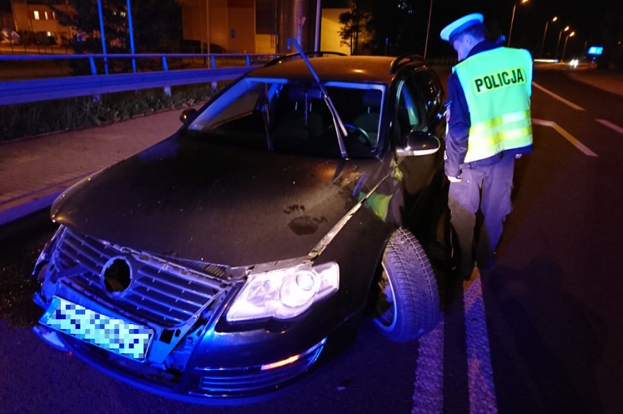 Samochód widmo na Bestwińskiej. Interweniowała policja i strażacy - foto