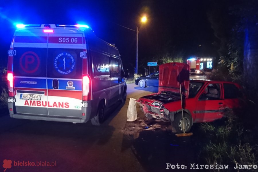 Rozbili auto na skarpie. Kierowca i pasażer byli pijani - foto