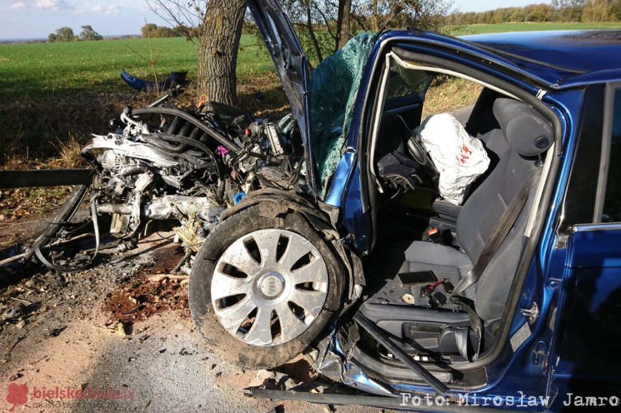 Dramat w Pisarzowicach. Samochód roztrzaskał się na drzewie - foto