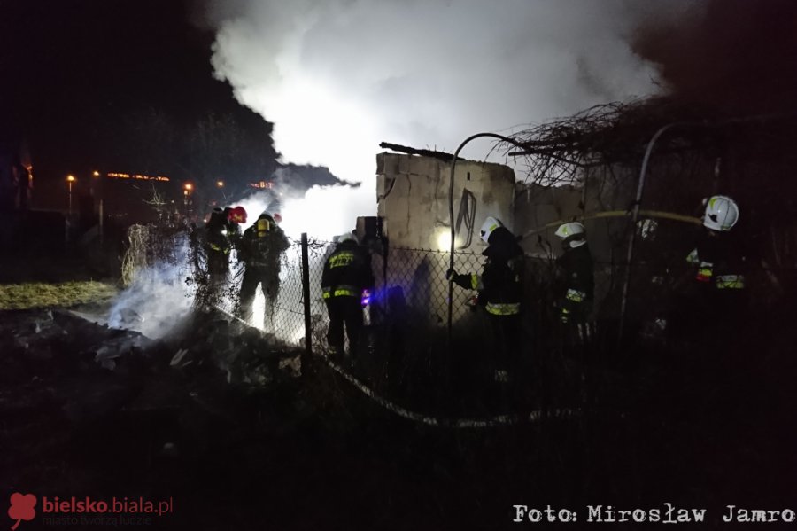 Pożar na ogródkach działkowych. Spłonęła altana z wyposażeniem - foto