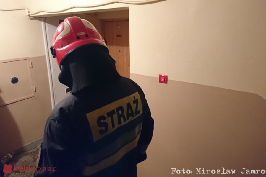 Zadymienie w wieżowcu. Lokatorka zapomniała o posiłku - foto