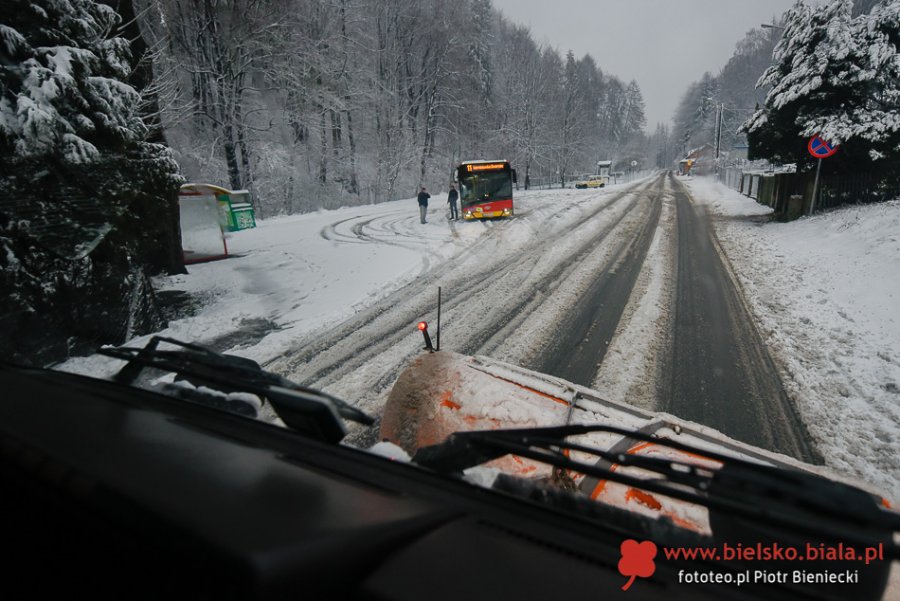 Zima wróciła w lutym. Raport z zaśnieżonego miasta ZDJĘCIA