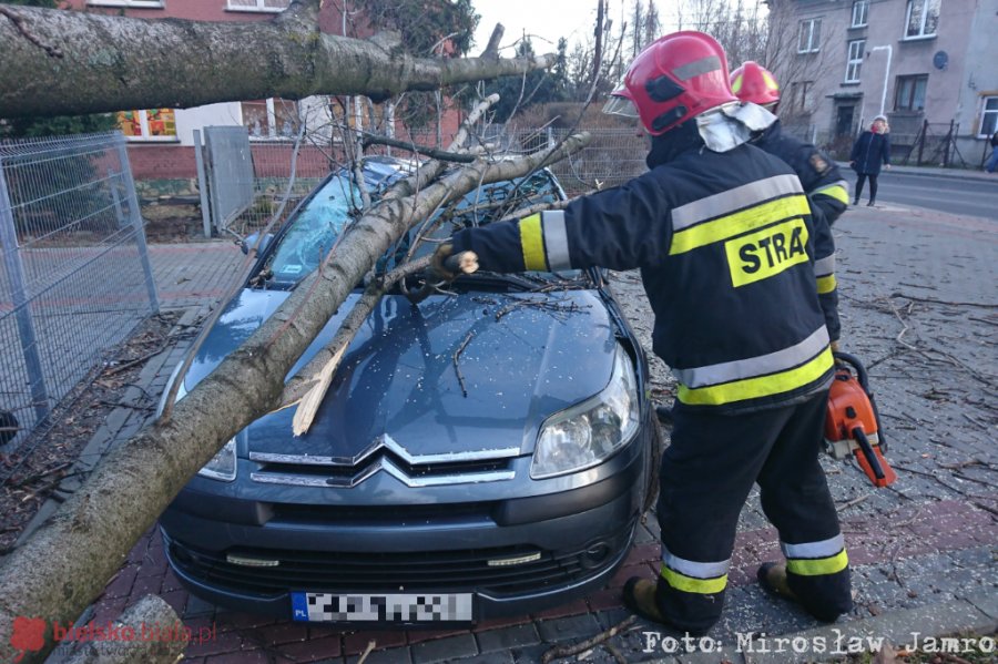 Połamane drzewa, zerwany dach. Strażacy walczą ze skutkami wichury - foto