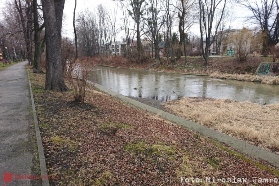 Bulwar nadbrzeżny nad Białą. Ambitny plan rewitalizacji dwóch parków