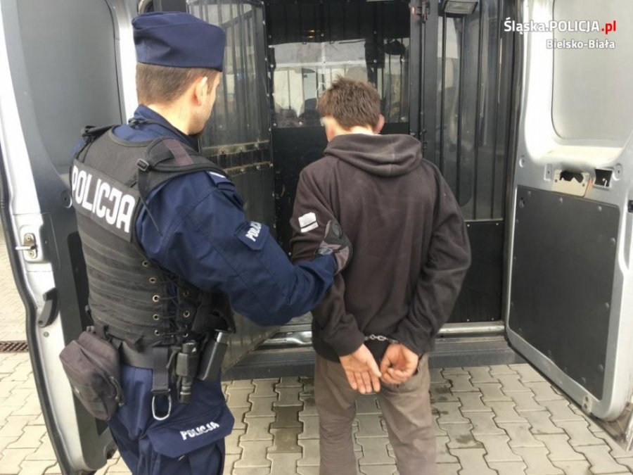 Zrabował butelkę taniej whisky. Pościg z użyciem psów tropiących - foto
