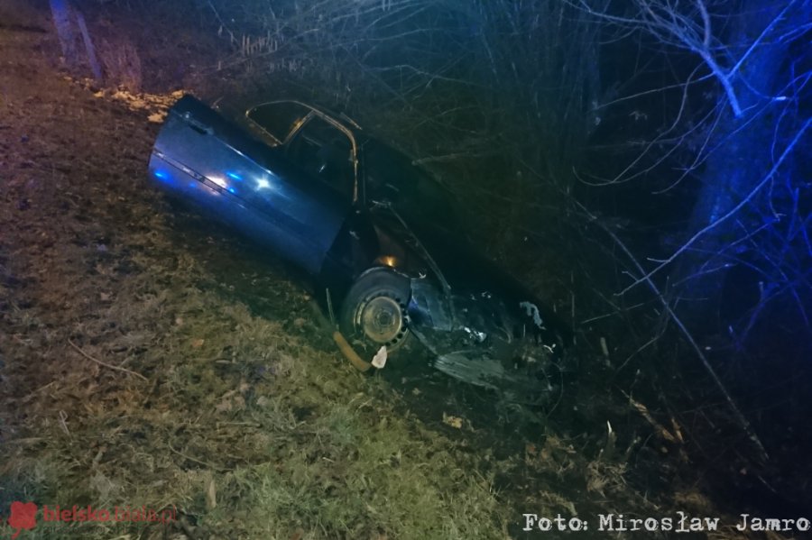 Skosił autem dwa drzewa. "Coś mi wyskoczyło na jezdnię" - foto