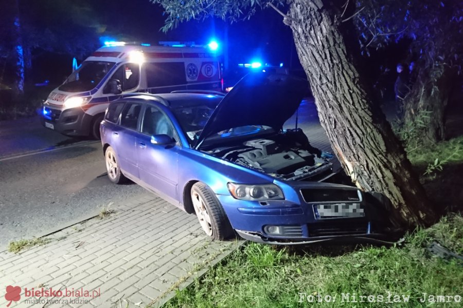 Nietrzeźwy uderzył w drzewo. Nocne poszukiwania z psem tropiącym - foto