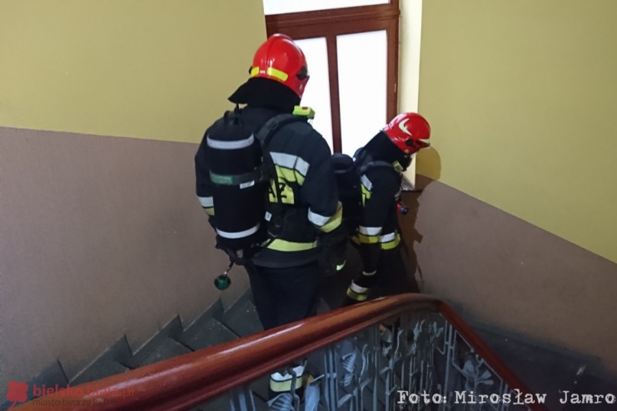 Zamieszanie na placu Wolności. Kosztowne skutki pożaru trzech parówek - foto