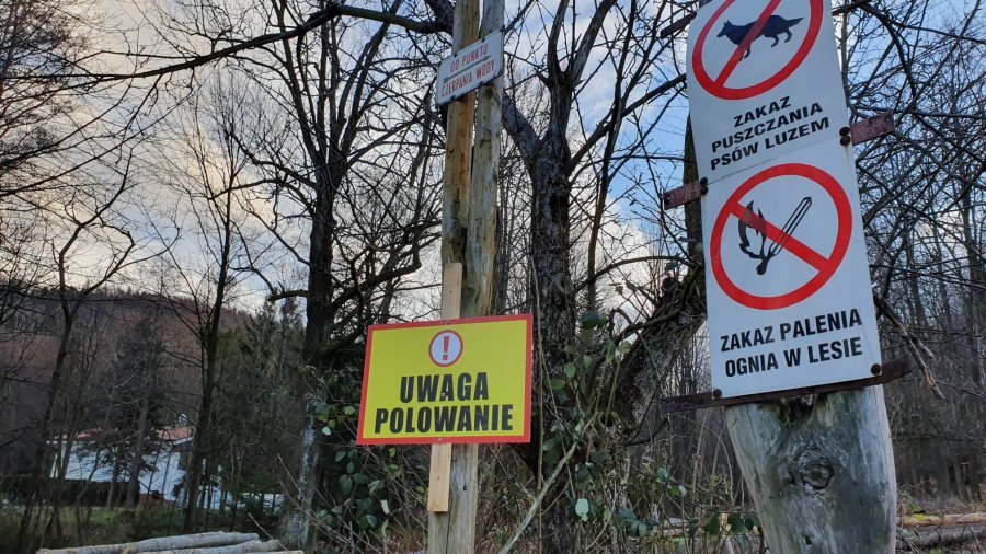 Polowania na stawach komorowickich. Będą strzelać do gęsi i kaczek