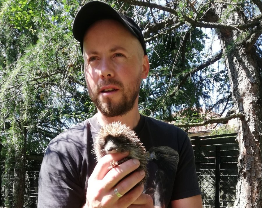 Przyjaciel człowieka żyjący na wolności z nowym domem. Dar dla Mysikrólika - foto