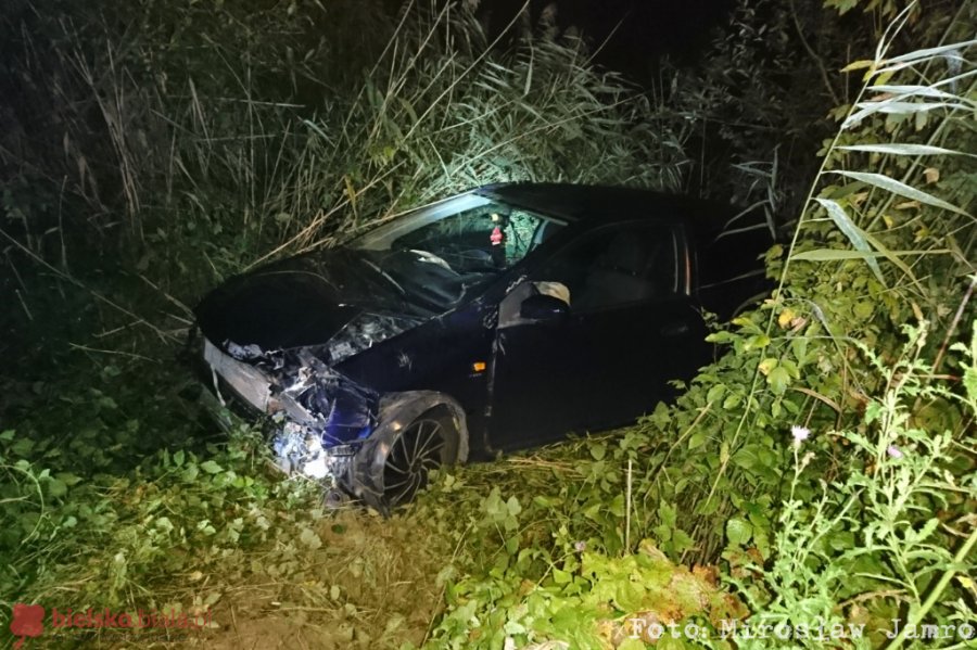 Nocne zderzenie z jeleniem. Samochód wpadł do stawu - foto