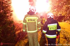 Nocny pożar na ogródkach działkowych. Ogień zauważył taksówkarz - foto