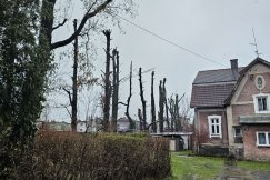 Radny chwalił i podawał za przykład, Ratusz wymierzył gigantyczną karę. Policja się odwołuje