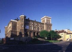 Zamek Sułkowskich