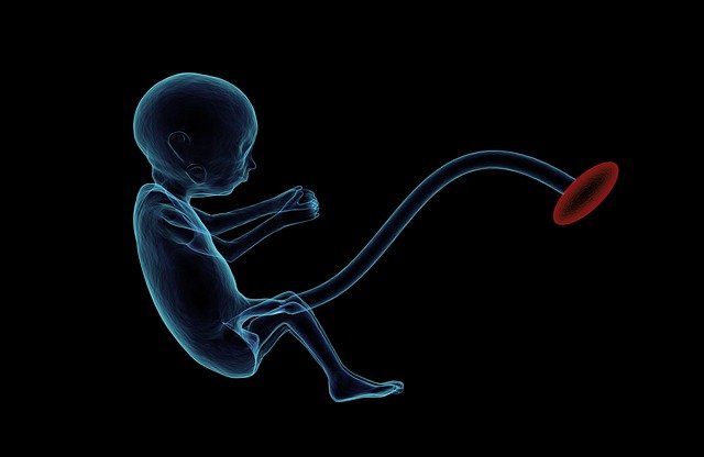 Badania prenatalne - dlaczego są tak ważne dla zdrowia dziecka?