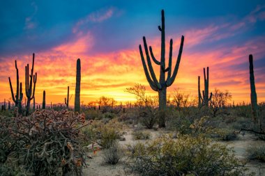 Wycieczka do Arizony, amerykańskiej kolebki parków narodowych
